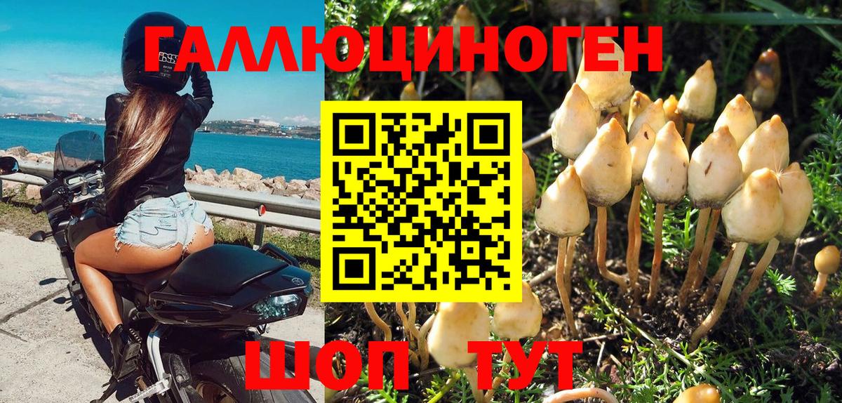 Псилоцибиновые грибы GOLDEN TEACHER  Вход с VPN  Кириши  Псилоцибиновые грибы мухоморы 